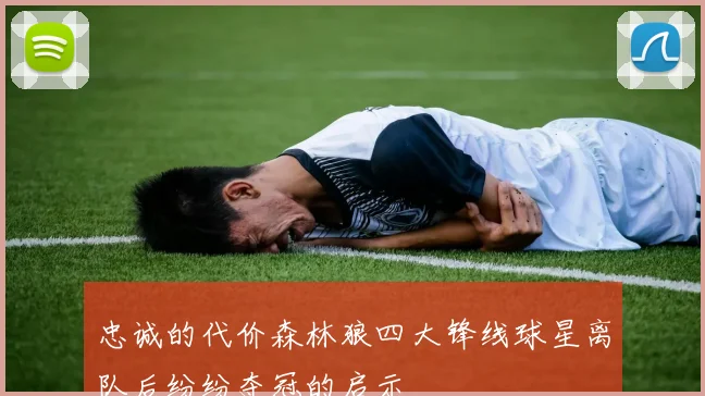 忠诚的代价森林狼四大锋线球星离队后纷纷夺冠的启示