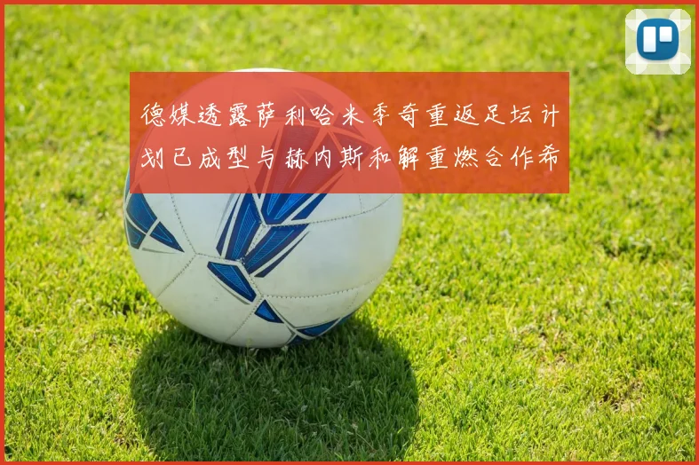 德媒透露萨利哈米季奇重返足坛计划已成型与赫内斯和解重燃合作希望